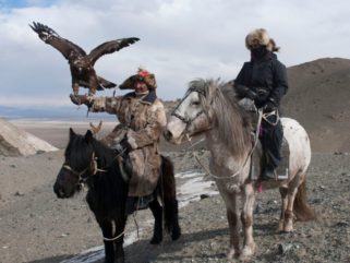 Horse Breed: Kazakh - photo via Tribes.World - Globetrotting horse riding holidays