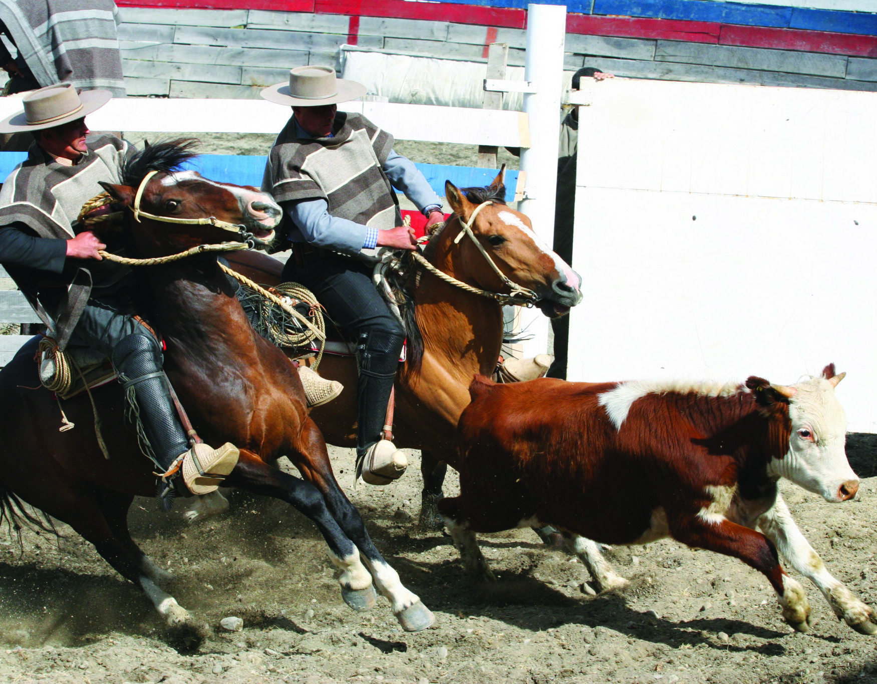 Horse People Chile's Baqueano Horse Riding Holidays and Safaris