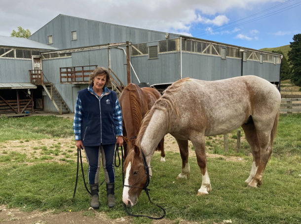 River Valley Ride, North Island, New Zealand - Globetrotting horse riding holidays