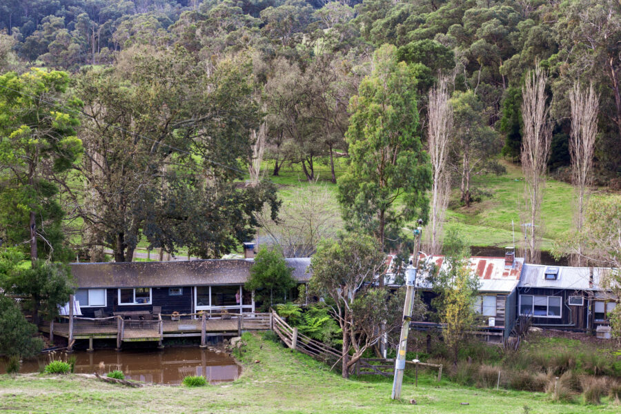 The Yarra Valley Ride in Pictures Horse Riding Holidays and Safaris