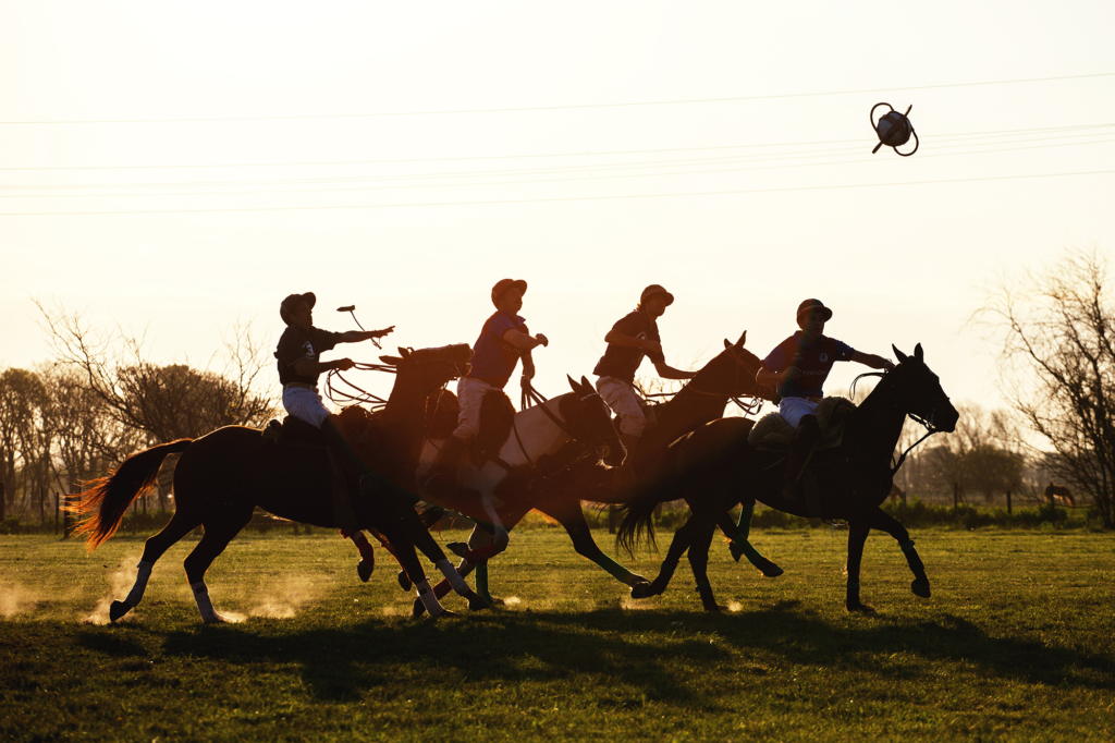 Pato the national sport of Argentina
