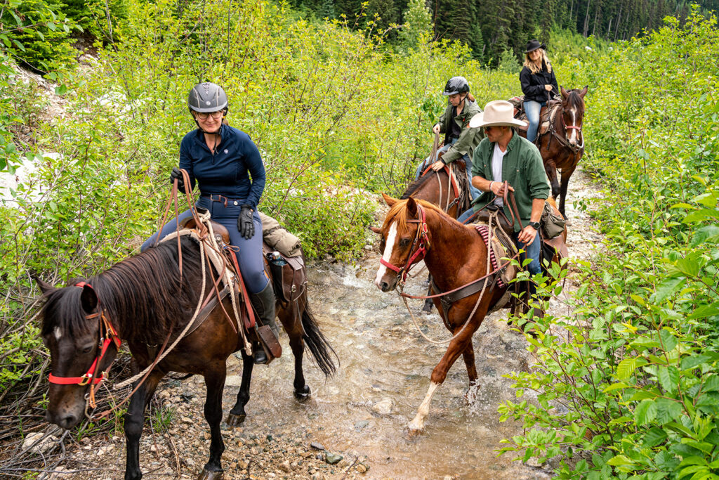 Whistler Wilderness Ride, BC Canada Horse Riding Holidays and Safaris