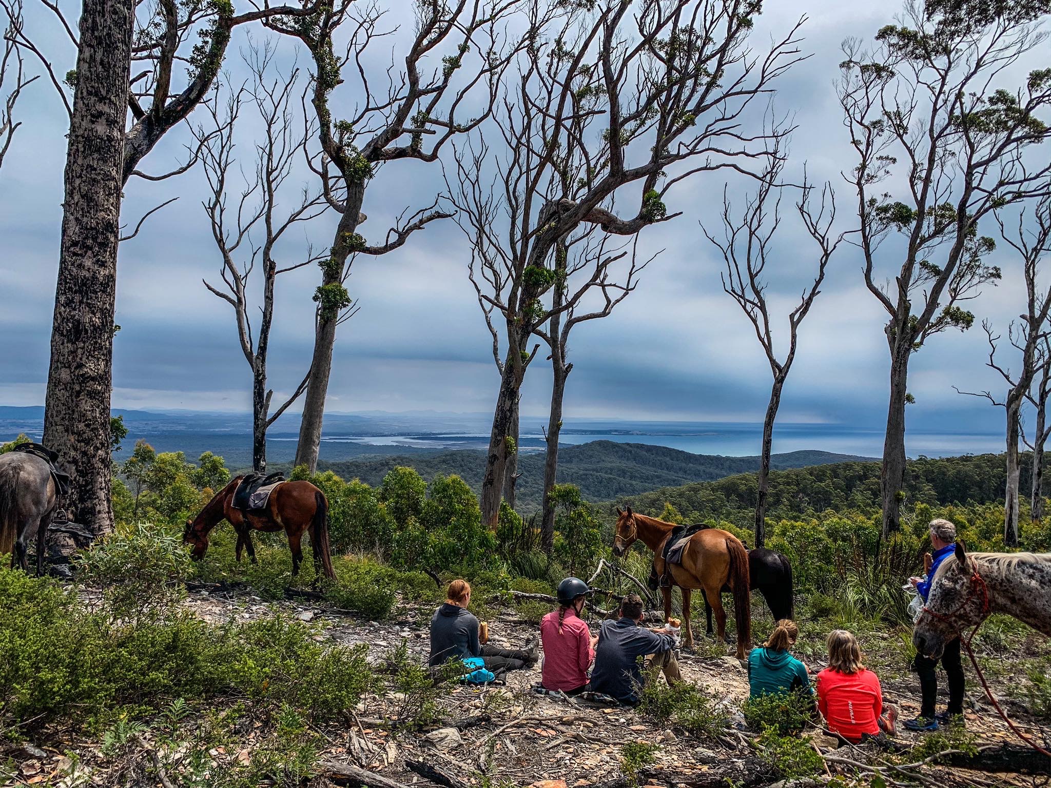 Cradle To Coast Ride, Australia Horse Riding Holidays and Safaris