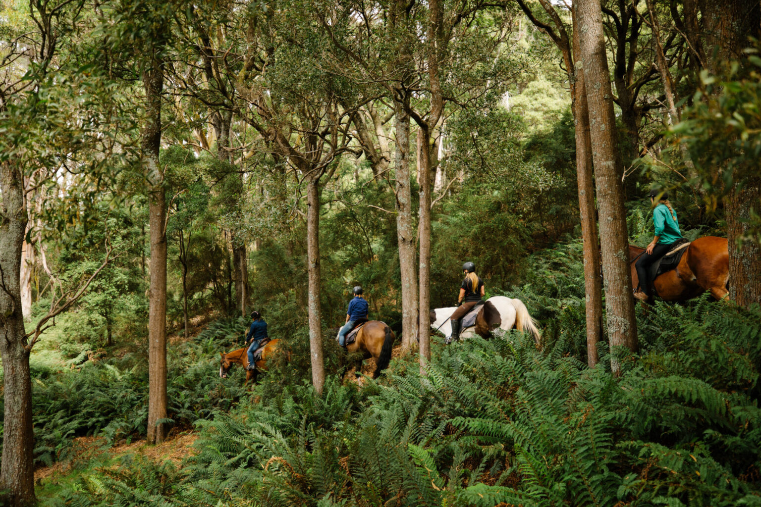 Cradle To Coast Ride, Australia Horse Riding Holidays and Safaris