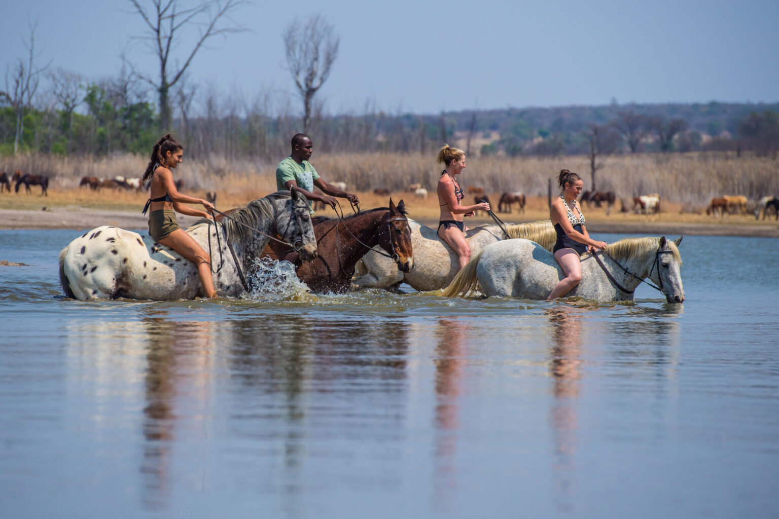 The Bushveld, South Africa Horse Riding Holidays and Safaris