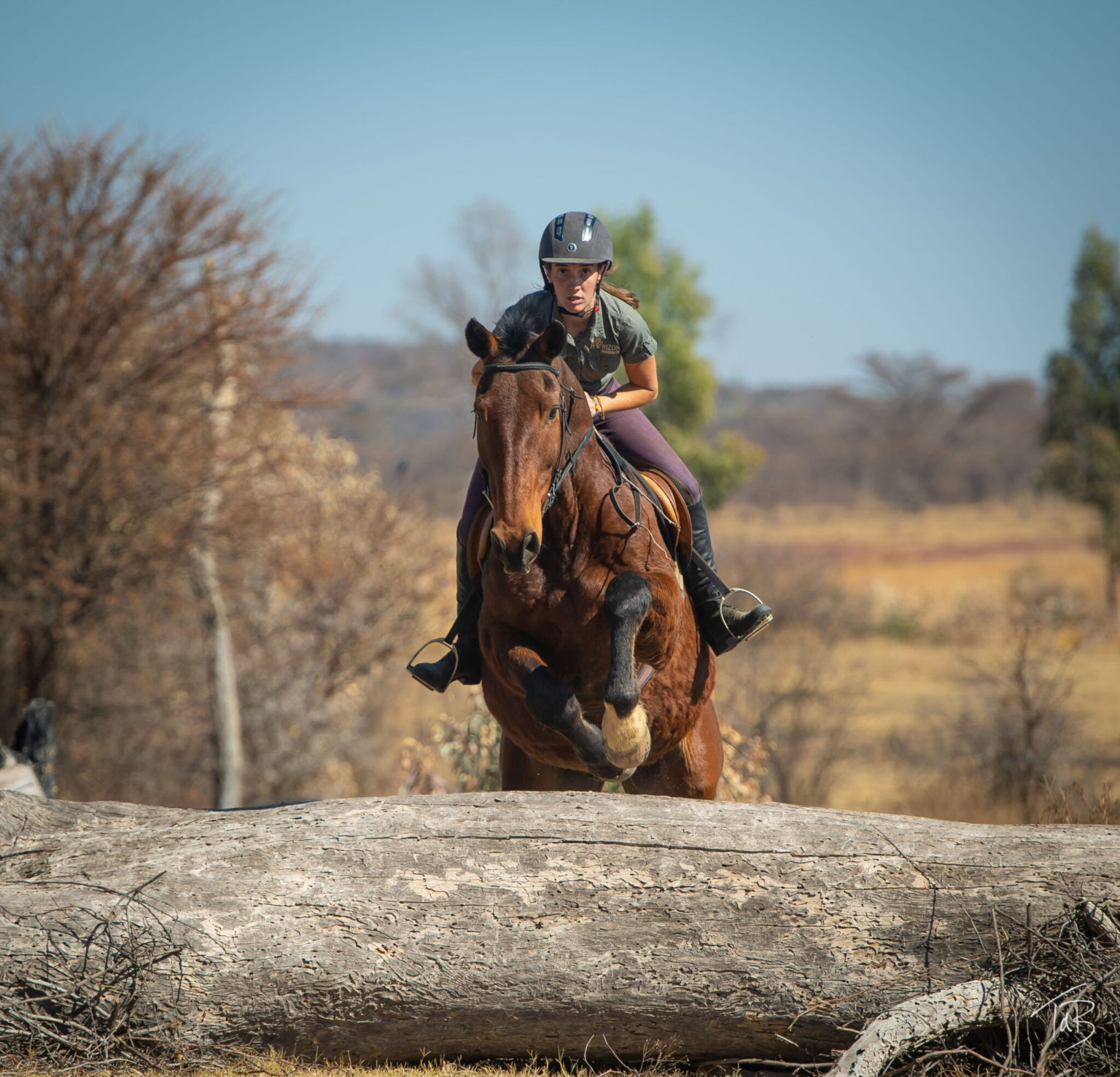 The Bushveld, South Africa Horse Riding Holidays and Safaris