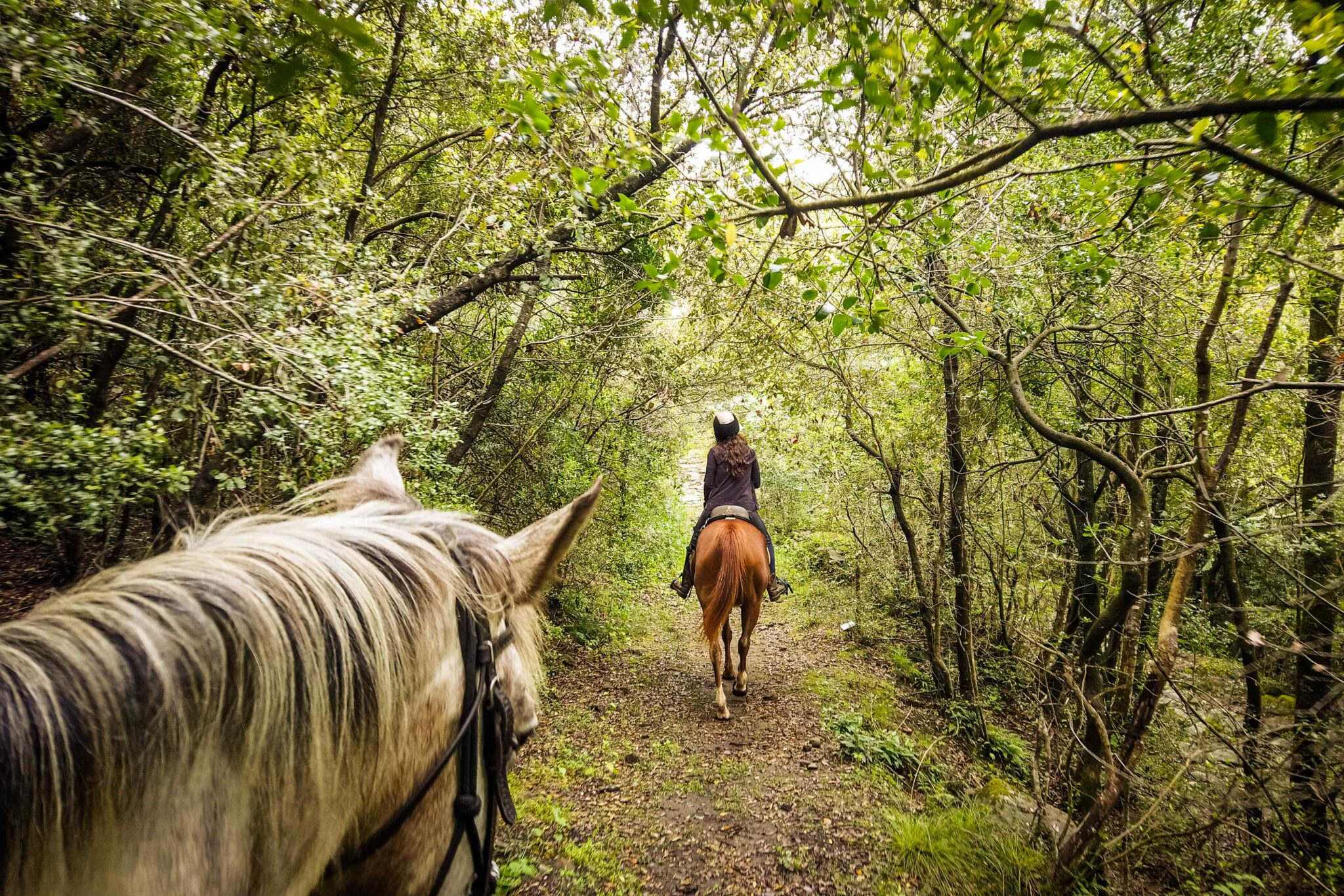 Tuscany, Italy Horse Riding Holidays and Safaris