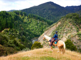 The River Valley Ride, North Island, New Zealand - Globetrotting horse riding holidays