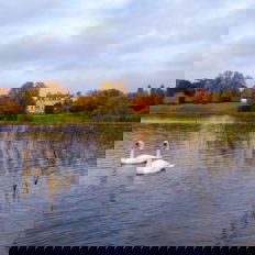 Castle and Estate horse riding holiday, Ireland