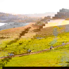 Castle and Estate horse riding holiday in Ireland