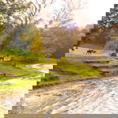 Castle and Estate horse riding holiday in Ireland