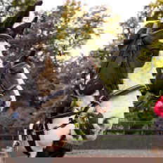 Castle and Estate horse riding holiday in Ireland