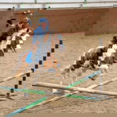 Castle and Estate horse riding holiday in Ireland