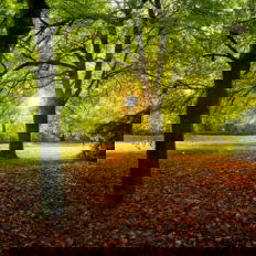 Castle and Estate horse riding holiday, Ireland