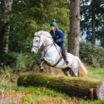Castle and Estate horse riding holiday in Ireland