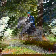 Castle and Estate horse riding holiday in Ireland