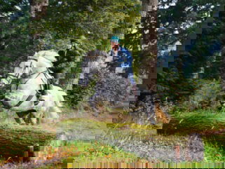 Castle and Estate horse riding holiday in Ireland