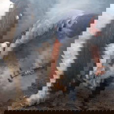 Castle and Estate horse riding holiday, Ireland