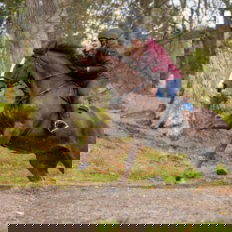 Castle and Estate horse riding holiday in Ireland