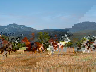 horse riding holiday in Catalonia, Spain