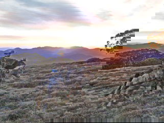 horse riding holiday craig's hut australia