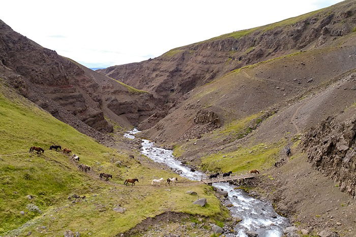 horse riding holiday in Iceland Wilderness Expedition
