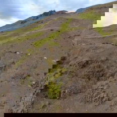 horse riding holiday in Iceland Wilderness Expedition