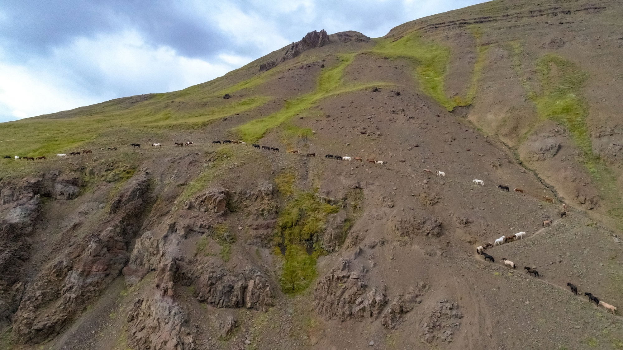 horse riding holiday in Iceland Wilderness Expedition