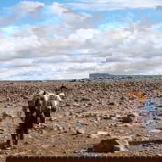 horse riding holiday in Iceland Wilderness Expedition