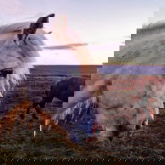 horse riding holiday in Iceland Wilderness Expedition