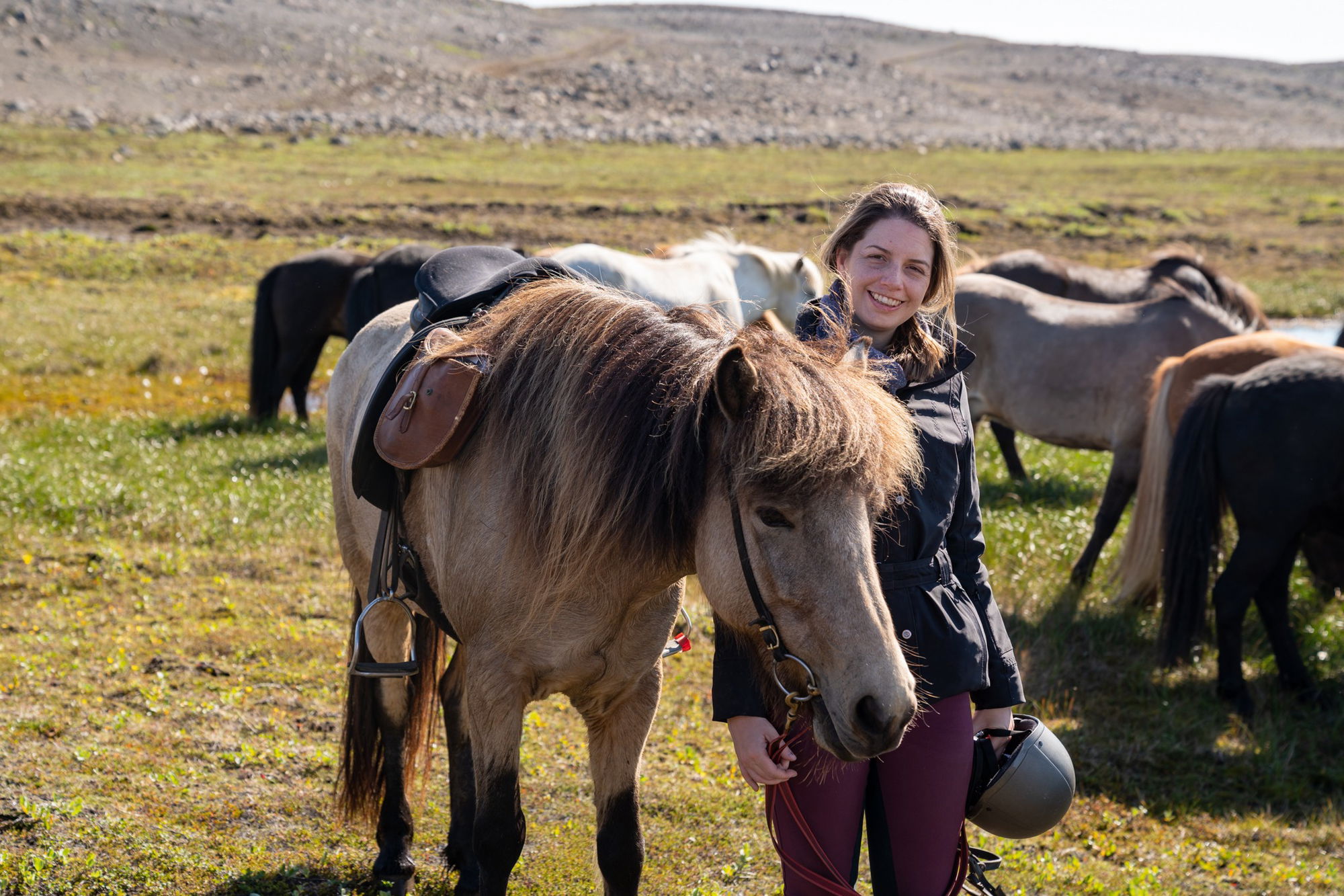 horse riding holiday in Iceland Wilderness Expedition