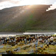horse riding holiday in Iceland Wilderness Expedition