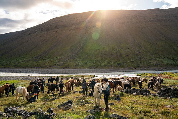 horse riding holiday in Iceland Wilderness Expedition