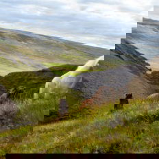 horse riding holiday in Iceland Wilderness Expedition