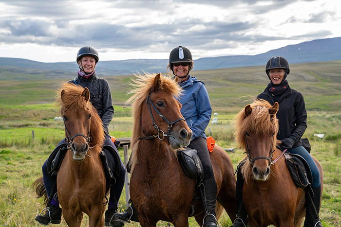 horse riding holiday in Iceland Wilderness Expedition