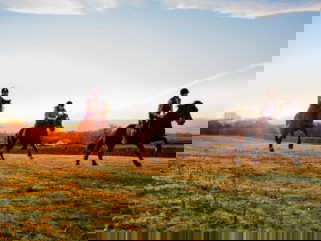 horse riding holiday in Wales