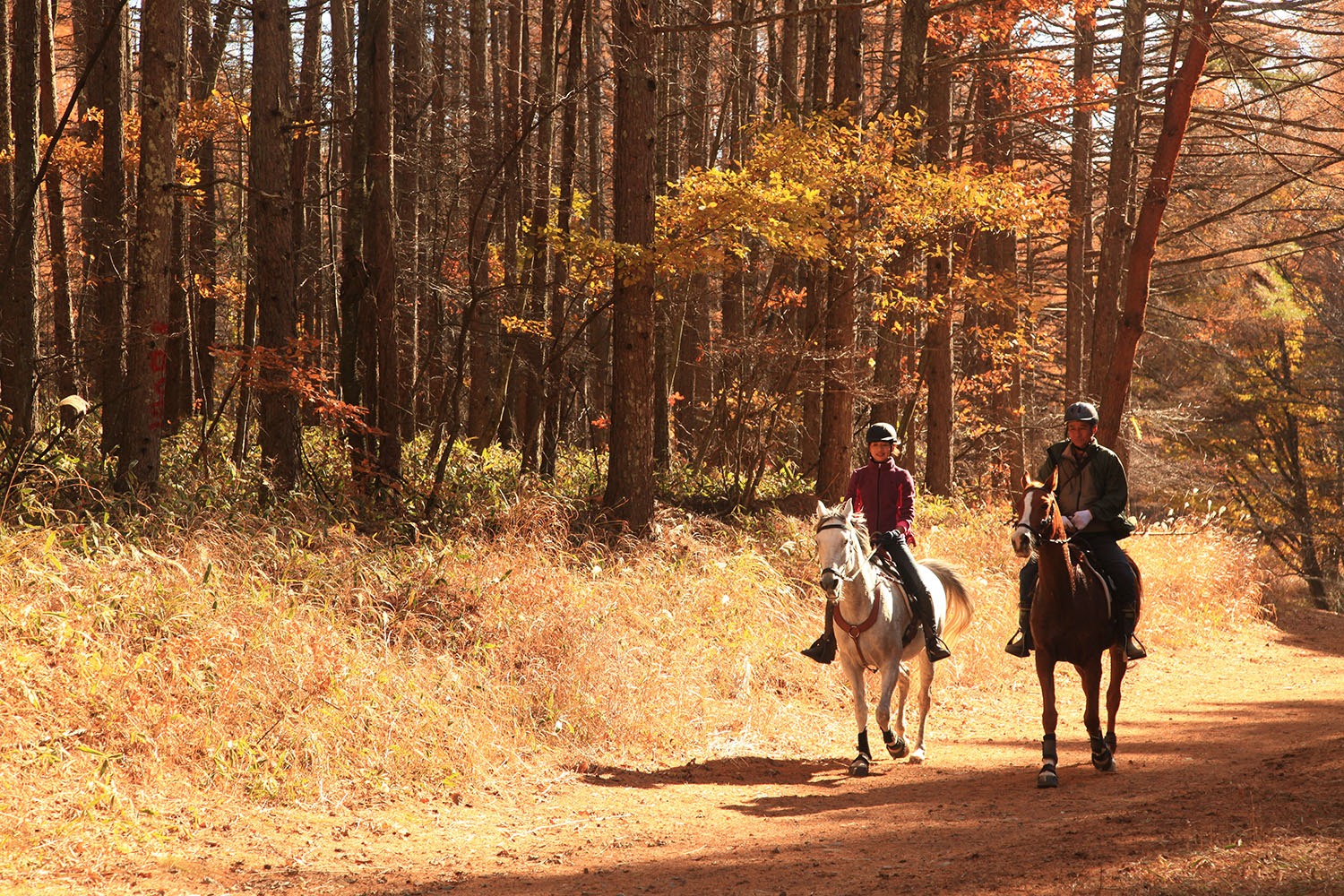 riders in forest horse riding holiday Japan by globetrotting