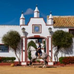 dressage horse riding holiday in Andalusia, Spain