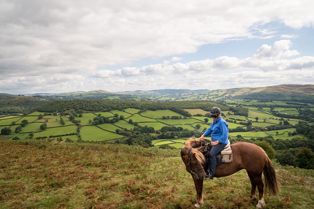 horse riding Wales Horse Riding Holidays and Safaris