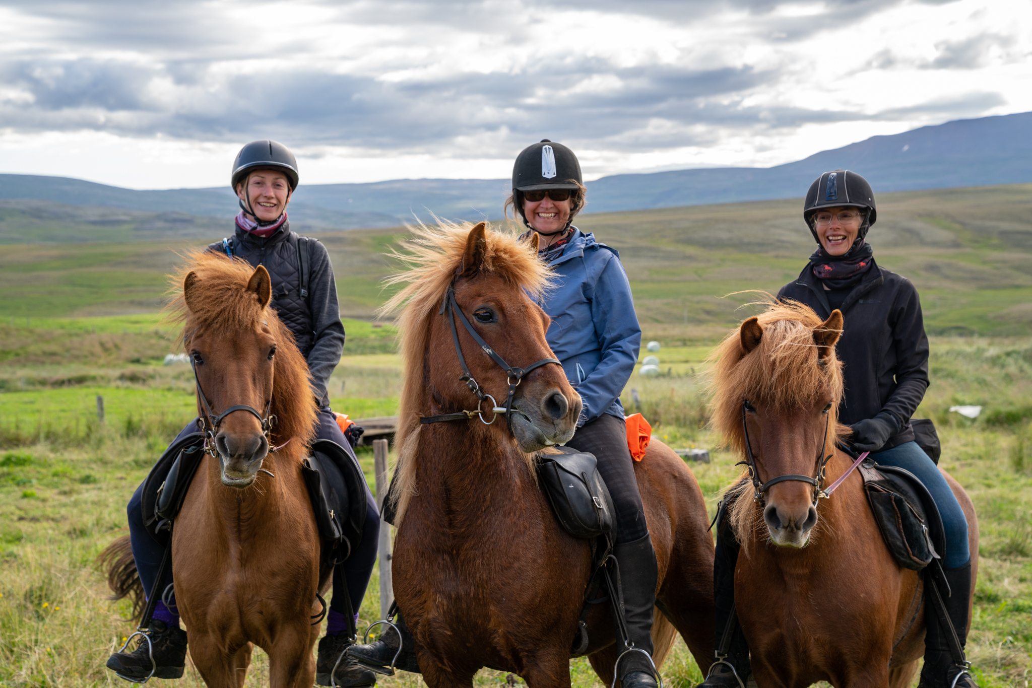 horse riding holiday Iceland Horse Riding Holidays and Safaris