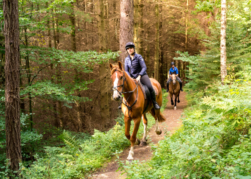 Scottish Borders Ride Horse Riding Holidays in Scotland Globetrotting