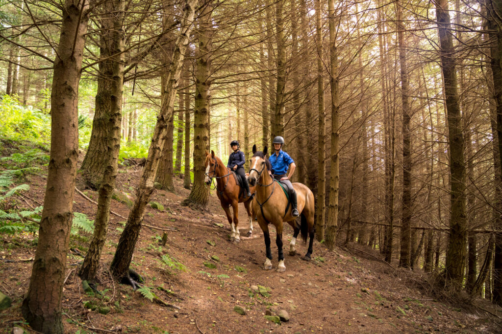 Thirlestane Castle Ride Horse Riding Holidays in Scotland Globetrotting
