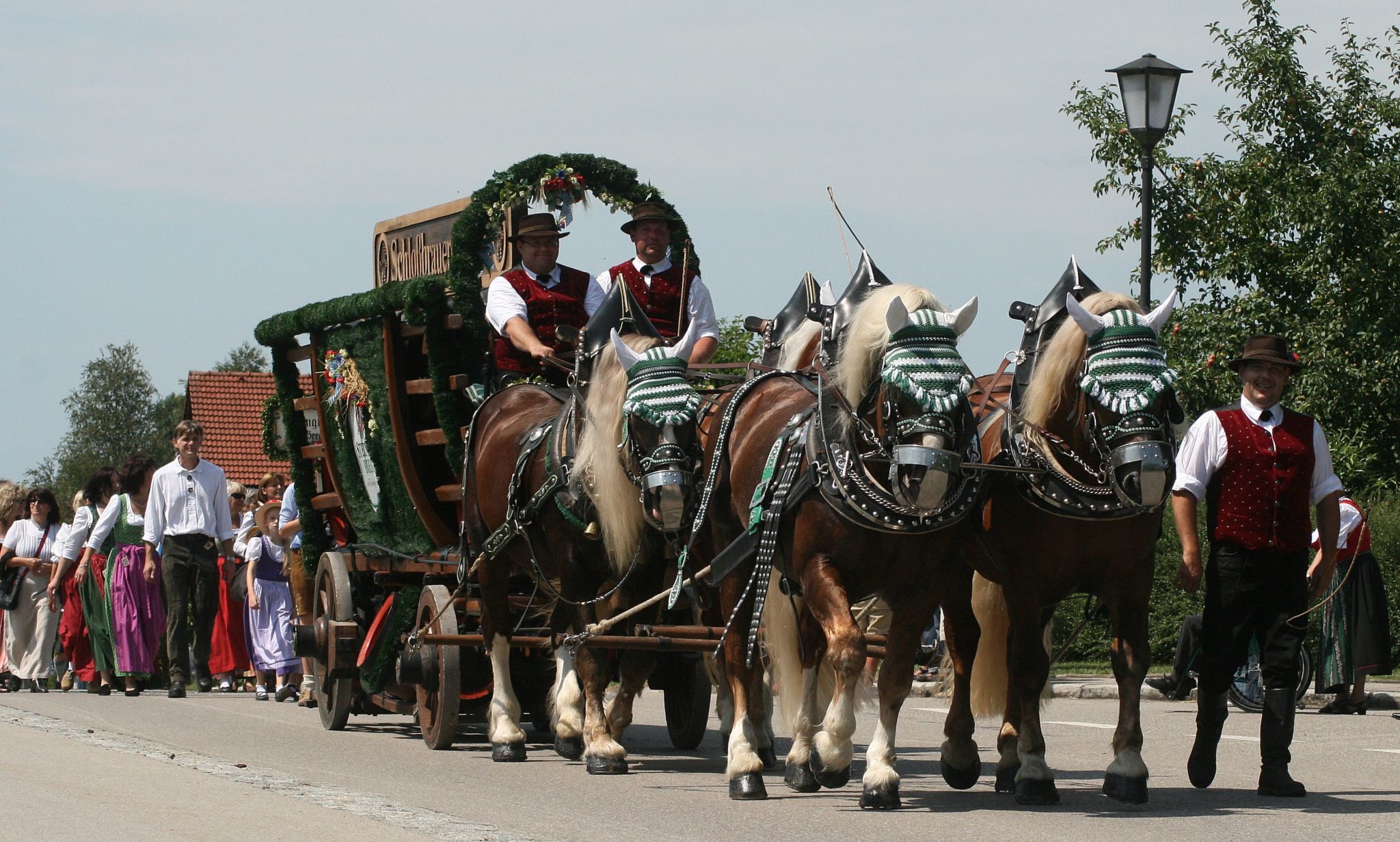 Horse Breed South German Coldblood