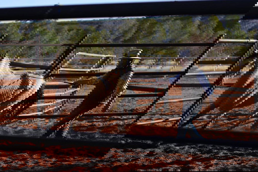 Desert Brumby Safari, Australia