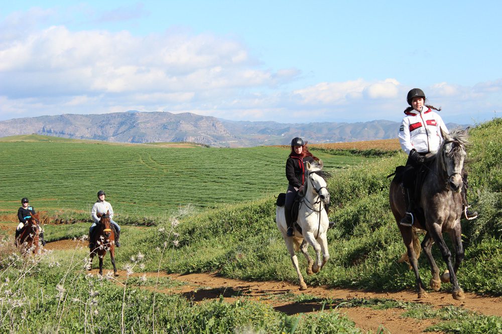 Andalusia, Spain Horse Riding Holidays and Safaris