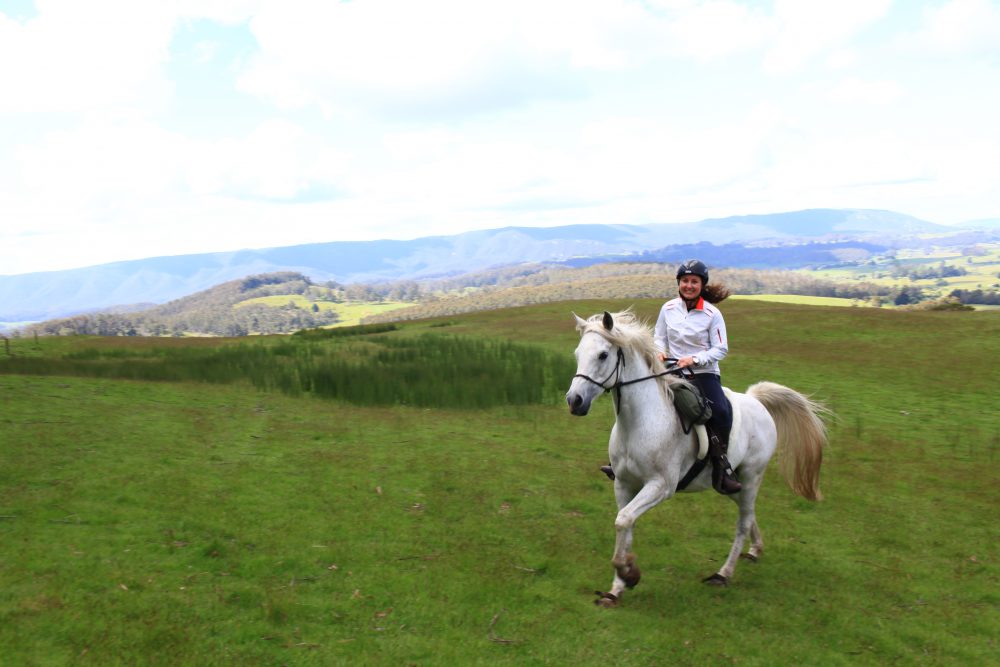 Tasmania, Australia Globe Trotting Horse Riding Holidays and Safaris