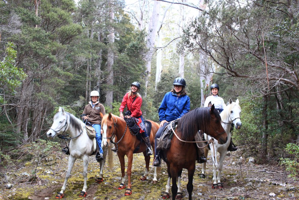 Tasmania, Australia Globe Trotting Horse Riding Holidays and Safaris