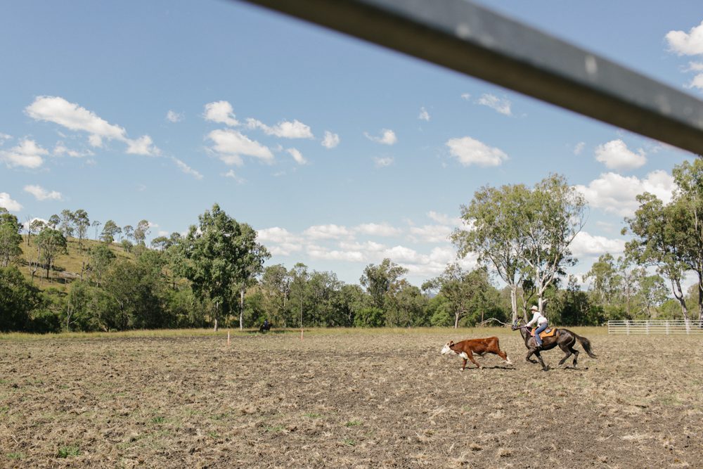 Goomboorian Campdraft Ride Horse Riding Holidays and Safaris