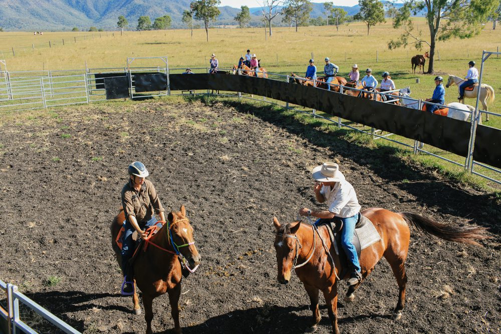 Goomboorian Campdraft Ride Horse Riding Holidays and Safaris
