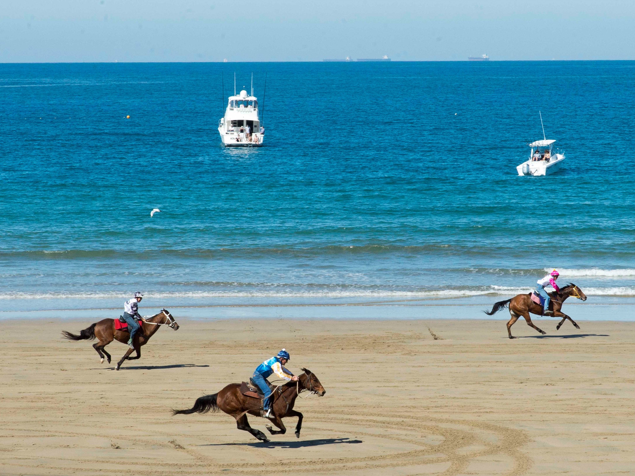 Mackay Beach Horse Races